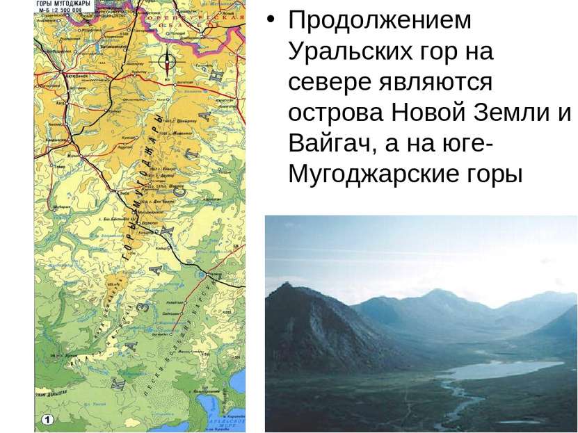 Продолжением Уральских гор на севере являются острова Новой Земли и Вайгач, а...