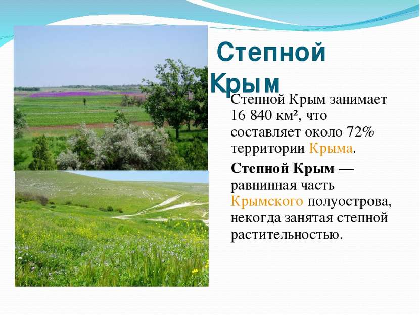 Степной Крым Степной Крым занимает 16 840 км², что составляет около 72% терри...