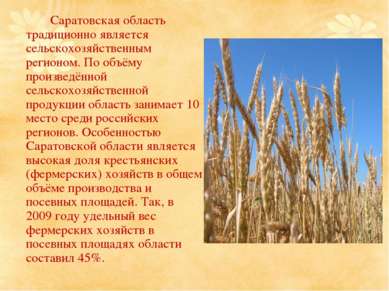 Саратовская область традиционно является сельскохозяйственным регионом. По об...