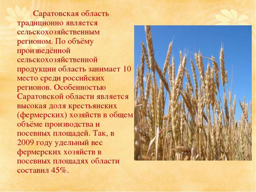 Саратовская область традиционно является сельскохозяйственным регионом. По об...