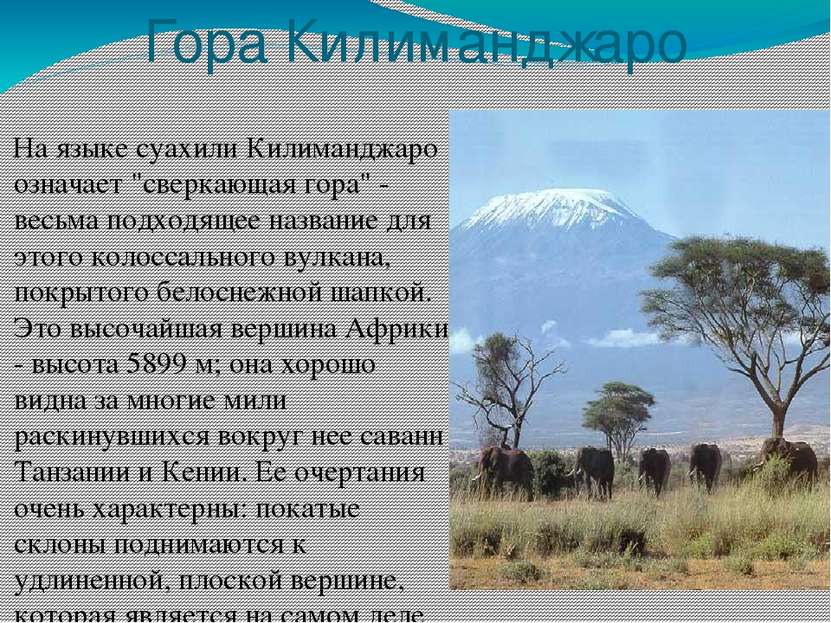 Гора Килиманджаро На языке суахили Килиманджаро означает "сверкающая гора" - ...