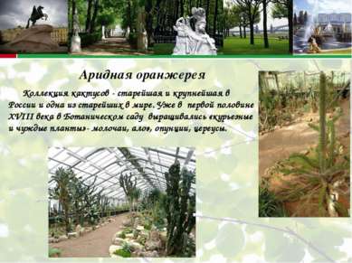 Аридная оранжерея Коллекция кактусов - старейшая и крупнейшая в России и одна...