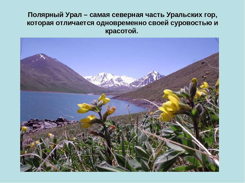 Полярный Урал – самая северная часть Уральских гор, которая отличается одновр...