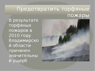 Предотвратить торфяные пожары В результате торфяных пожаров в 2010 году Влади...