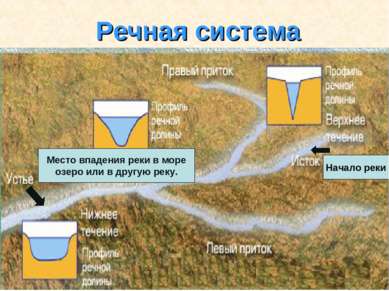 Речная система Место впадения реки в море озеро или в другую реку. Начало реки