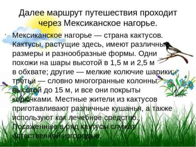 Далее маршрут путешествия проходит через Мексиканское нагорье. Мексиканское н...