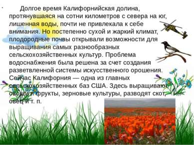       Долгое время Калифорнийская долина, протянувшаяся на сотни километров с...