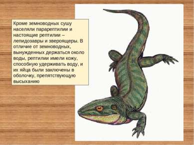 Кроме земноводных сушу населяли парарептилии и настоящие рептилии – лепидозав...