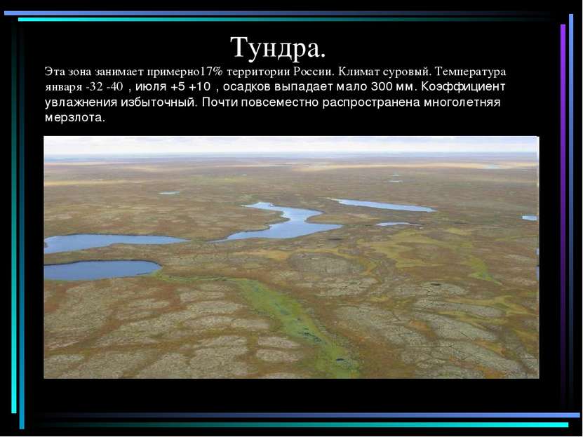 Тундра. Эта зона занимает примерно17% территории России. Климат суровый. Темп...
