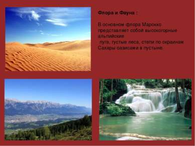Флора и Фауна : В основном флора Марокко представляет собой высокогорные альп...