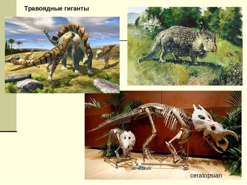 ceratopsian Травоядные гиганты