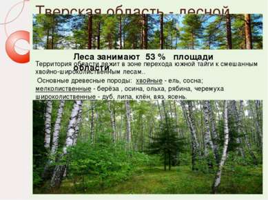 Тверская область - лесной край Территория области лежит в зоне перехода южной...