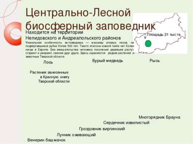 Центрально-Лесной биосферный заповедник Находится на территории Нелидовского ...