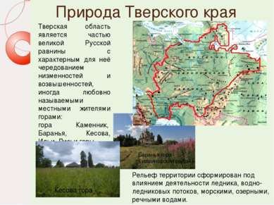 Природа Тверского края Тверская область является частью великой Русской равни...