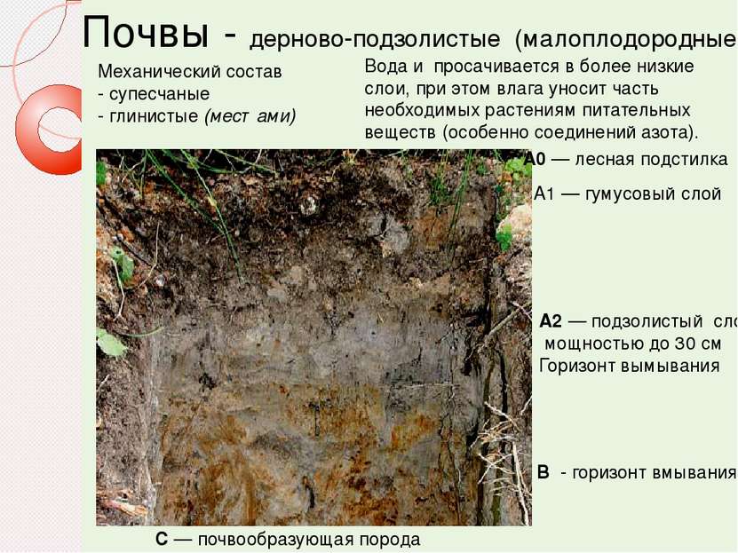 Почвы - дерново-подзолистые (малоплодородные) Механический состав - супесчаны...