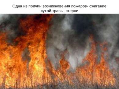 Одна из причин возникновения пожаров- сжигание сухой травы, стерни