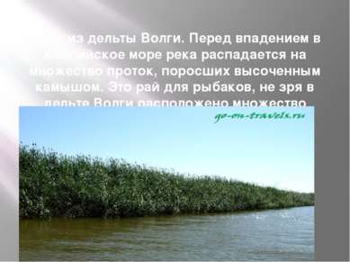 Фото из дельты Волги. Перед впадением в Каспийское море река распадается на м...