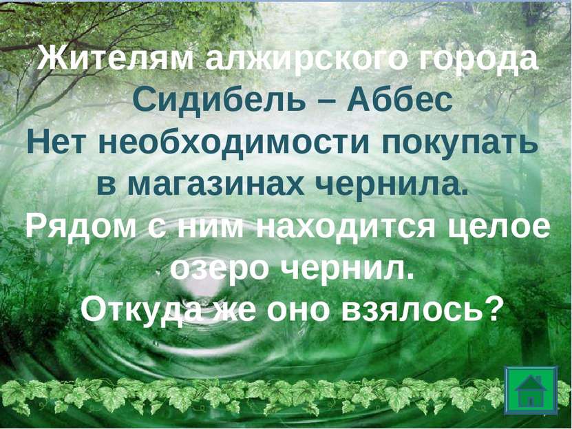 Жителям алжирского города Сидибель – Аббес Нет необходимости покупать в магаз...