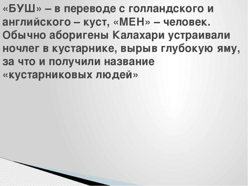 «БУШ» – в переводе с голландского и английского – куст, «МЕН» – человек. Обыч...