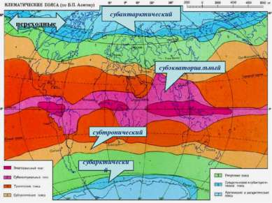 субтропический субэкваториальный субарктический переходные субантарктический