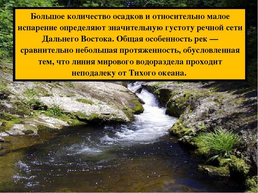 Большое количество осадков и относительно малое испарение определяют значител...