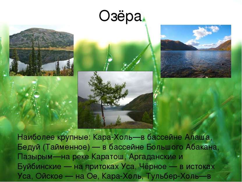 Озёра Наиболее крупные: Кара-Холь—в бассейне Алаша, Бедуй (Тайменное) — в бас...