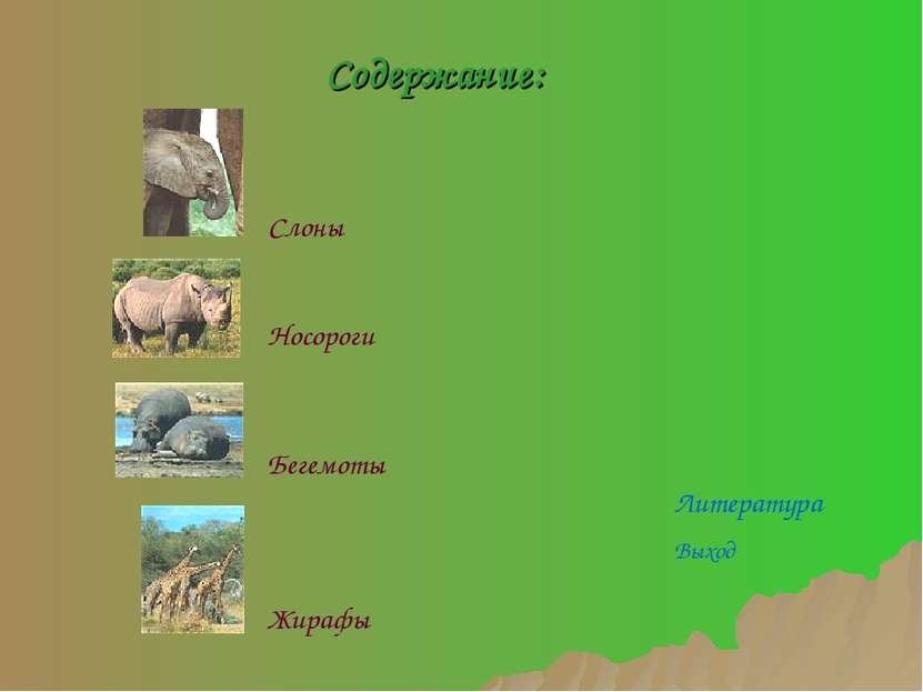 Слоны Бегемоты Носороги Жирафы Содержание: Литература Выход