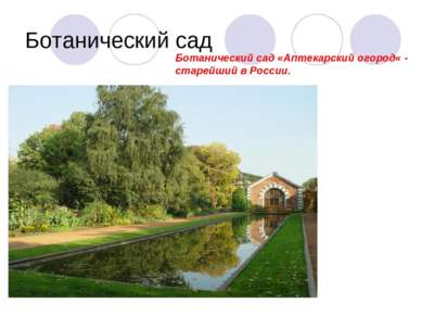Ботанический сад Ботанический сад «Аптекарский огород« - старейший в России.