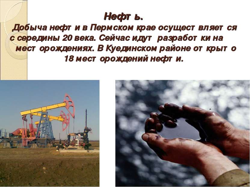 Нефть. Добыча нефти в Пермском крае осуществляется с середины 20 века. Сейчас...