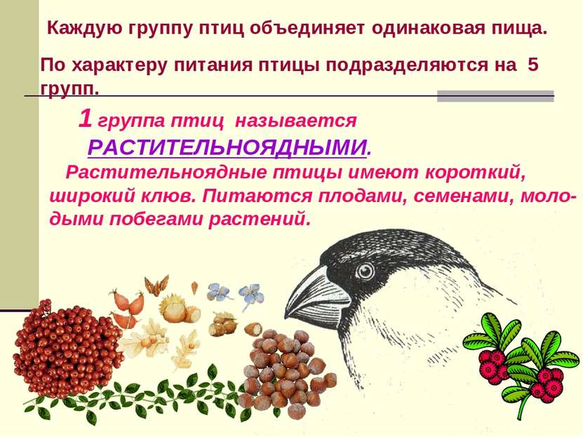 Каждую группу птиц объединяет одинаковая пища. 1 группа птиц называется РАСТИ...