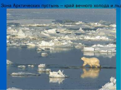 Зона Арктических пустынь – край вечного холода и льда.
