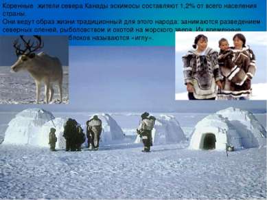 Коренные жители севера Канады эскимосы составляют 1,2% от всего населения стр...