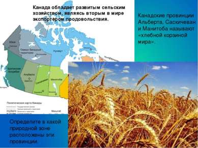 Канадские провинции Альберта, Саскичеван и Манитоба называют «хлебной корзино...