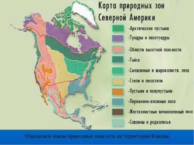 Определите какие природные зоны есть на территории Канады.