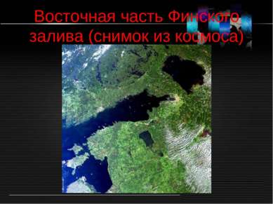 Восточная часть Финского залива (снимок из космоса)