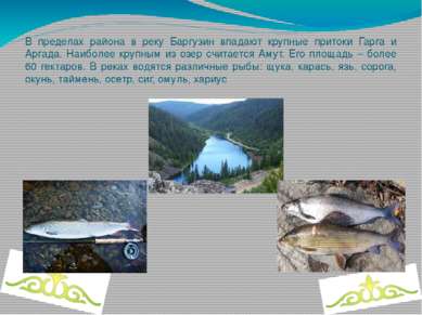 В пределах района в реку Баргузин впадают крупные притоки Гарга и Аргада. Наи...