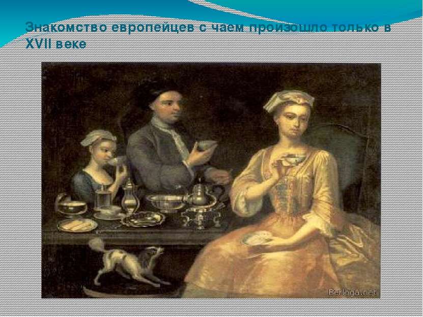 Знакомство европейцев с чаем произошло только в XVII веке