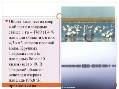 Общее количество озер в области площадью свыше 1 га – 1769 (1,4 % площади обл...