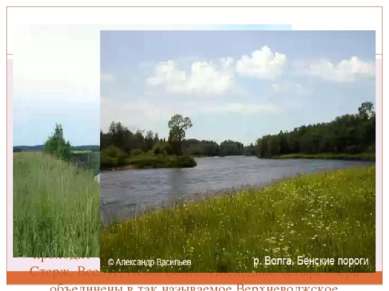 ВОЛГА Река Волга - одна из крупнейших рек на Земле и самая большая в Европе. ...