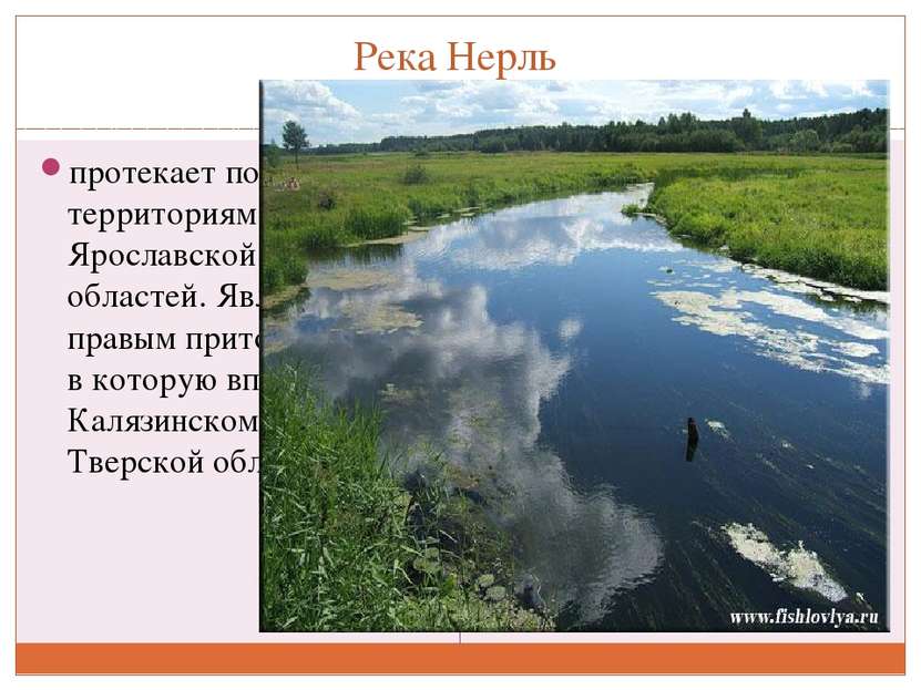Река Нерль протекает по территориям Ярославской и Тверской областей. Является...
