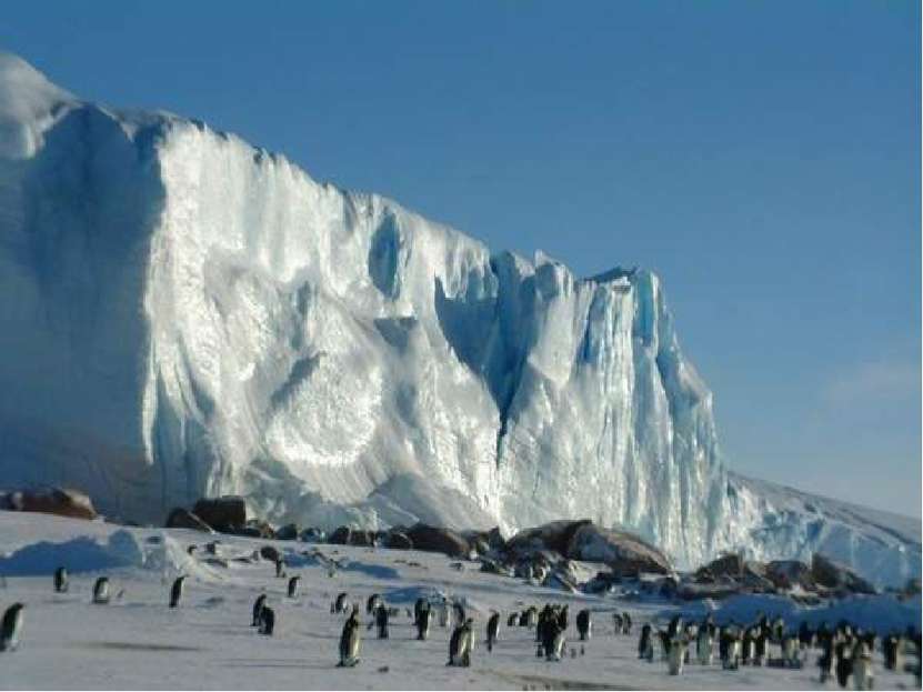 Антарктида - самый загадочный материк Земли