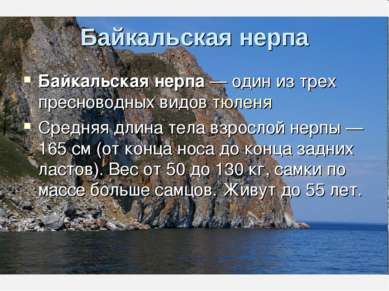 Байкальская нерпа Байкальская нерпа — один из трех пресноводных видов тюленя ...