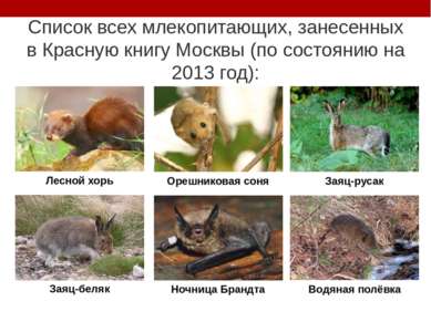 Список всех млекопитающих, занесенных в Красную книгу Москвы (по состоянию на...