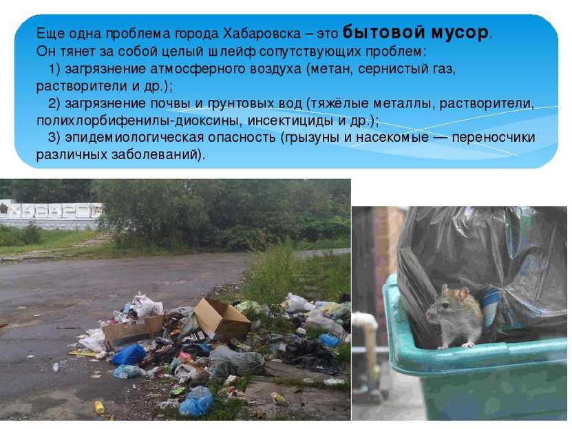 Еще одна проблема города Хабаровска – это бытовой мусор. Он тянет за собой це...