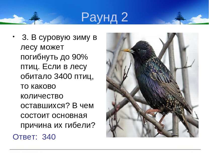 Раунд 2 3. В суровую зиму в лесу может погибнуть до 90% птиц. Если в лесу оби...