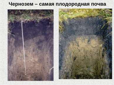 Чернозем – самая плодородная почва