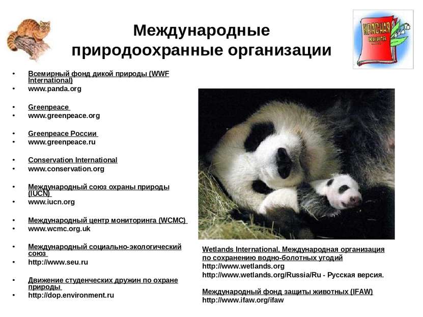 Международные природоохранные организации Всемирный фонд дикой природы (WWF I...