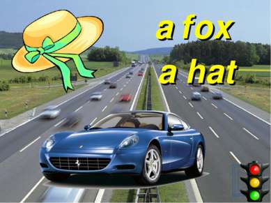 a fox a hat