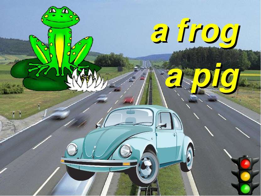 a frog a pig