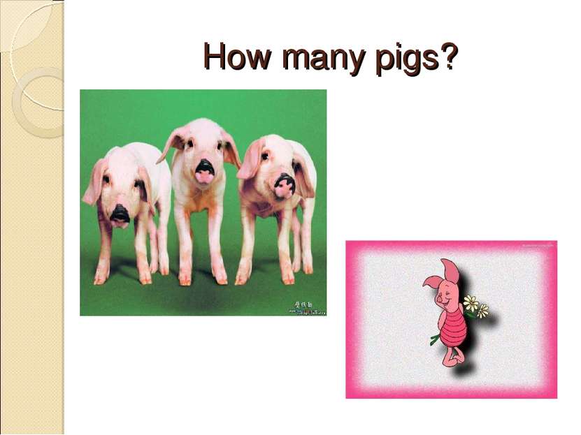 How many pigs?